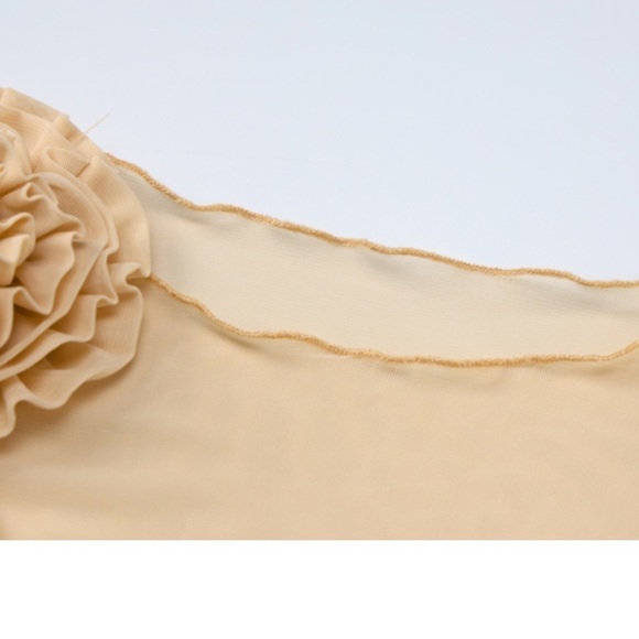 5⭐️CASA B | Florencia Sheer Mesh Floral Appliqué Dress in Nude - Picture 4 of 11